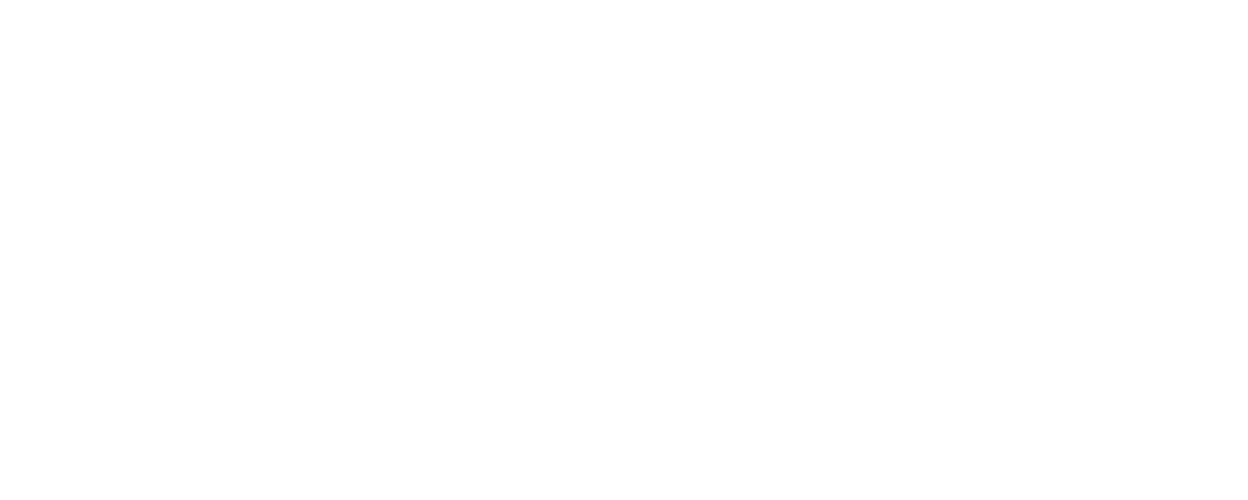 logo - wide - white